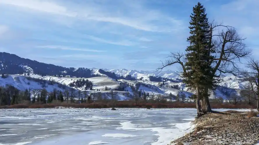 冬季的伊犁州那拉提风景如画电视剧大秦赋在此取外景