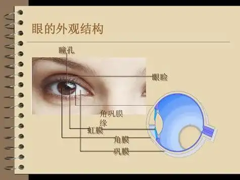 巩膜与球结膜的区别?