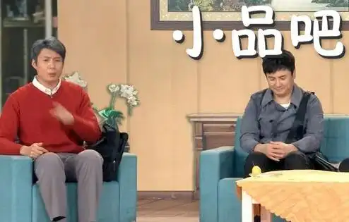 2017央视春晚沈腾搭档艾伦演绎小品一个女婿半个儿