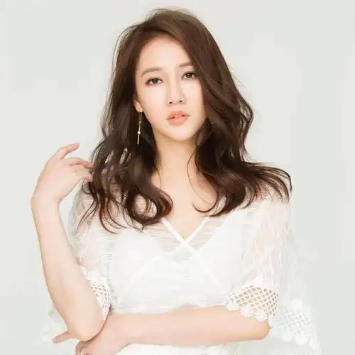 弦子歌手个人资料