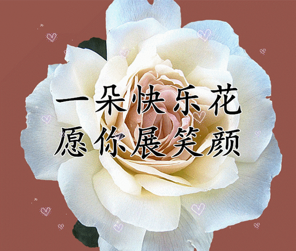 640_542gif 动态图 动图