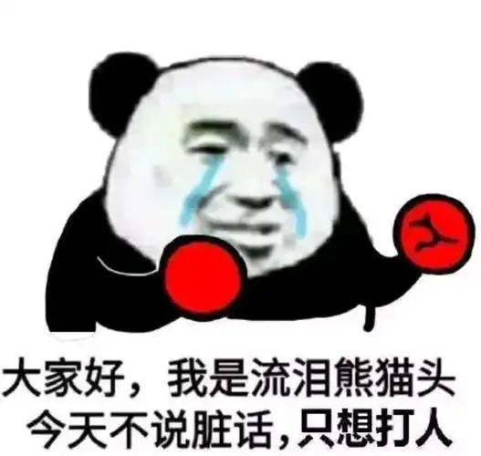 大家好我是流泪熊猫头今天不说脏话只想打人搞笑表情包斗图表情