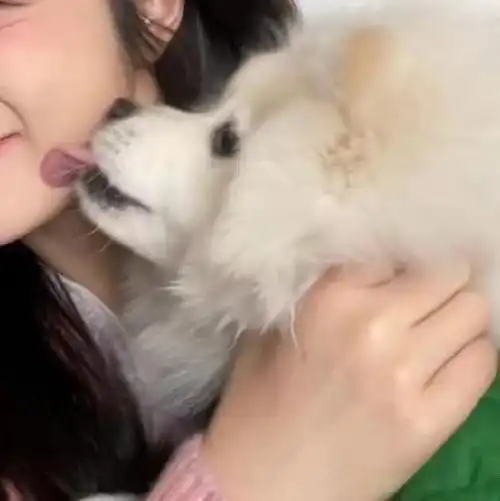 真人情头丨对象不是人系列情头合集第二弹