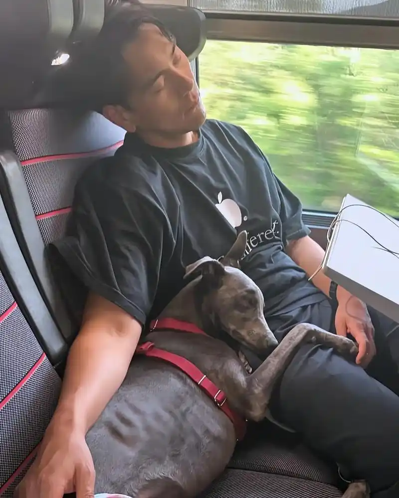 彭于晏 #电影狗阵彭于晏 女友视角95 - 抖音