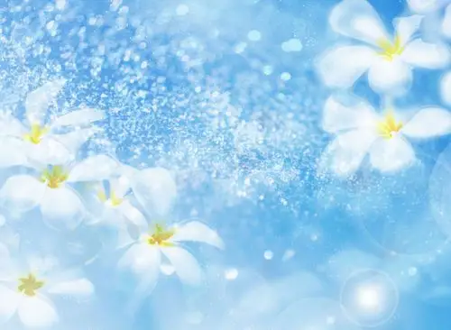 水晶花朵图片素材,那一片清凌的蓝,ps背景素材图片