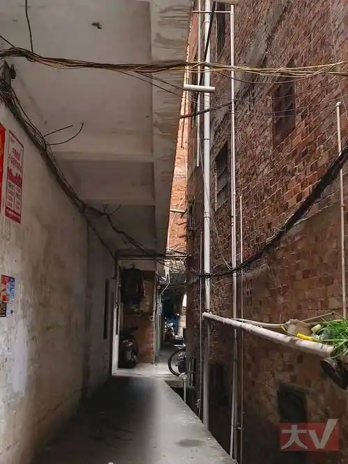 图 | 小鸡村里的窄巷子和大鸡村一样,小鸡村里小卖部,餐饮店,百货店