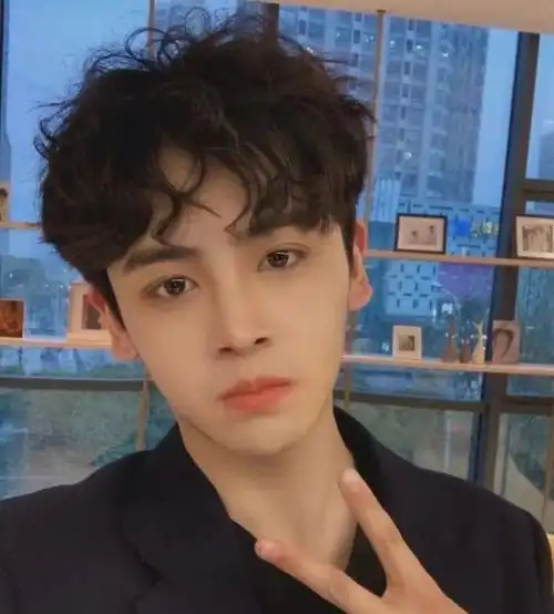 时髦男士烫发推荐 高人气男神烫发发型_男生烫发 - 美发站