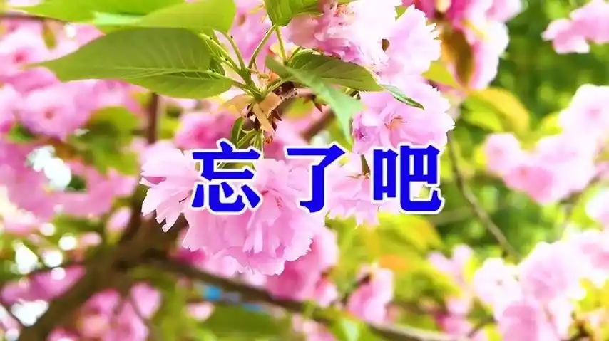 一首伤感情歌忘了吧听的人落泪把我听哭了