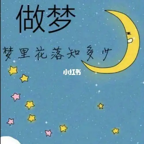 昨晚一口气做了三个梦可把我牛坏了