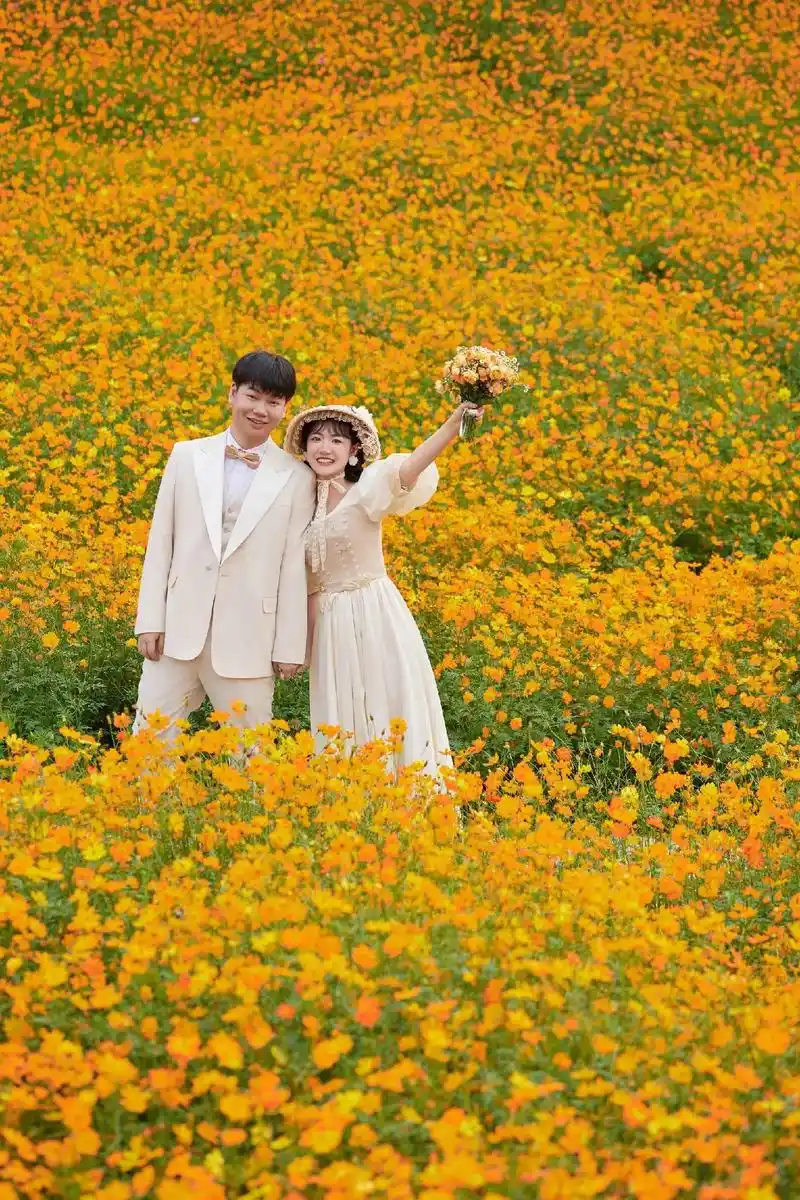 最爱的花花与你与婚纱照