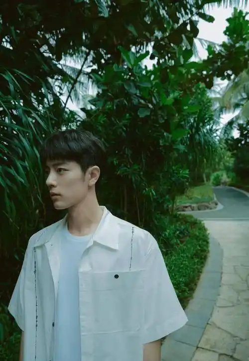 肖战再一次惊艳了!穿白色衬衫拍写真太养眼,清新治愈美少年 - 娱163网
