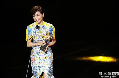 直击2014台湾电影金马奖颁奖现场[高清大图]