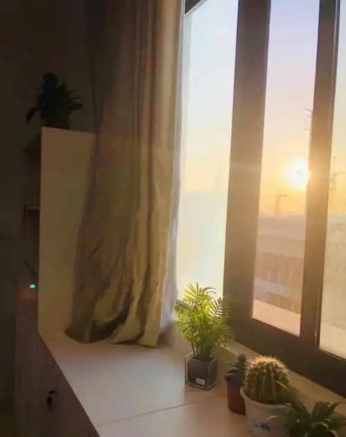 晨光熹微,鸟雀啁啾.清晨第一缕阳光透进窗户.