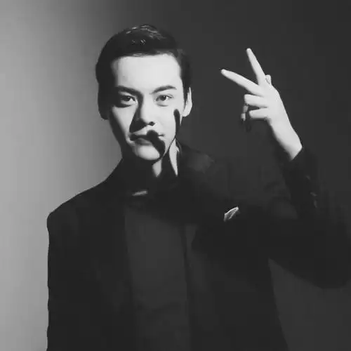 陈伟霆黑白头像图片大全