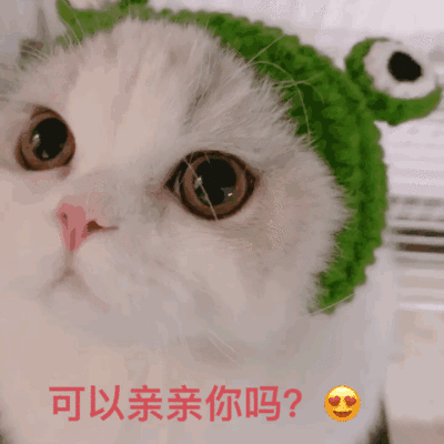 400_400gif 动态图 动图