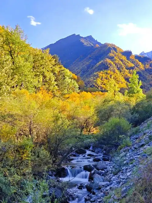 祁连山秋色之北山国家森林公园#感受大自然的气息和美景 #风景 - 抖音