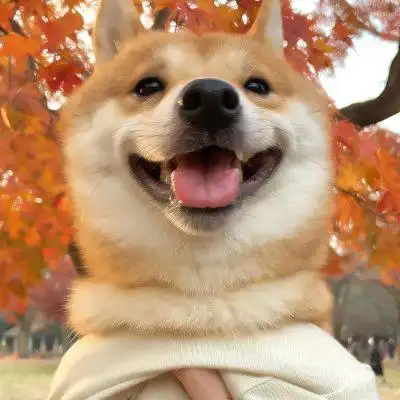 超萌的狗狗头像 高清好看的萌萌哒狗狗头像图片_动物头像_头像屋