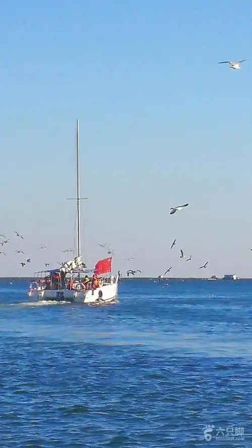 2018-10-11 大连旅顺口景点大连东港-乘帆船出海喂海鸥