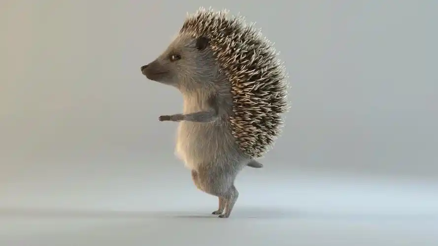三维刺猬4d逼真刺猬