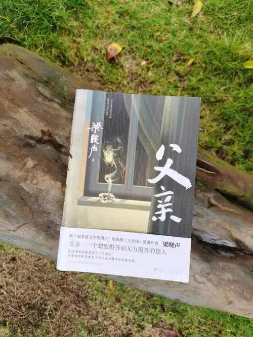 梁晓声父爱总是让人泪目