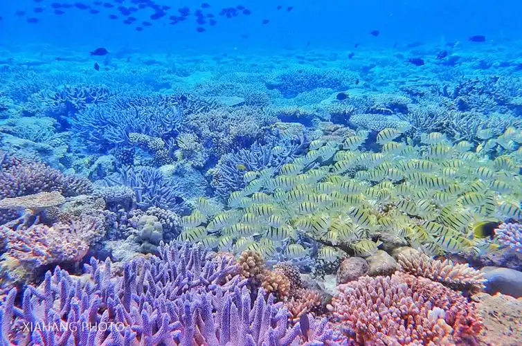 探秘五彩缤纷的海底世界,原来长滩还可以这样玩