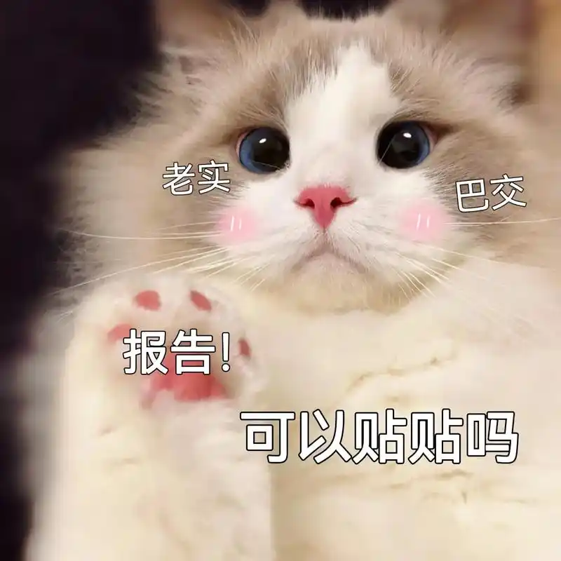 报告今天也有爱你哟不止三千遍#表情包 #猫咪表情包 #艾特你 - 抖音