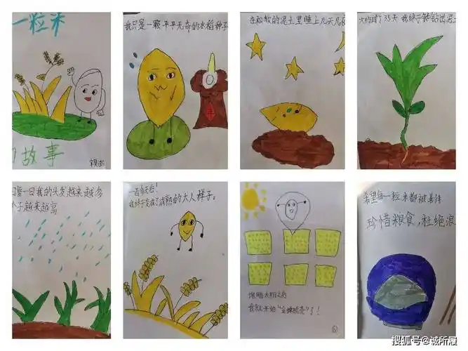 人和完小开展道法实践活动——一粒种子的成长日记_大米_绘本_过程