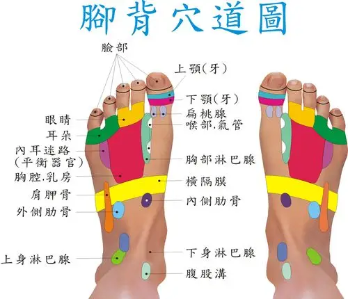 身心灵保健软体(健康养生开运)-bz-信发堂五术网路书局-http://www.hs