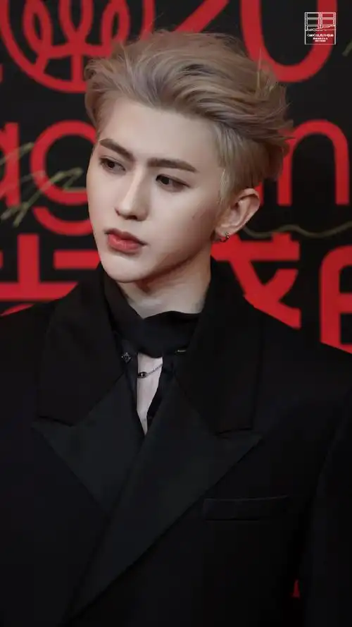 蔡徐坤大背头侧颜生图