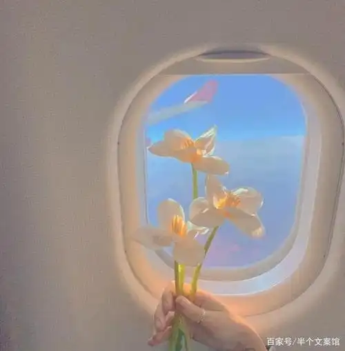 干净治愈的温柔文案,句句惊艳,值得收藏