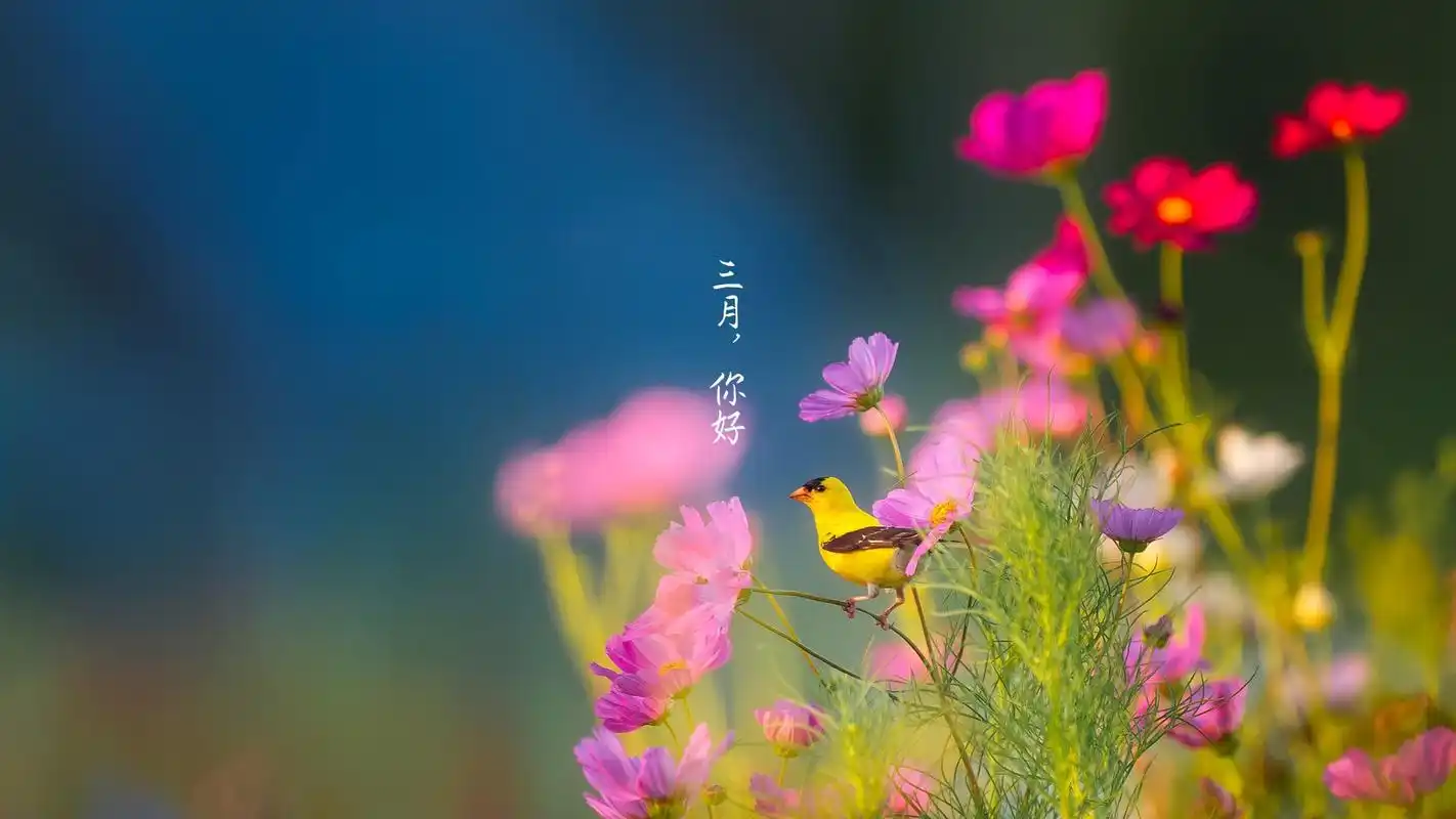 夜阑珊,月悠然(深度好句)