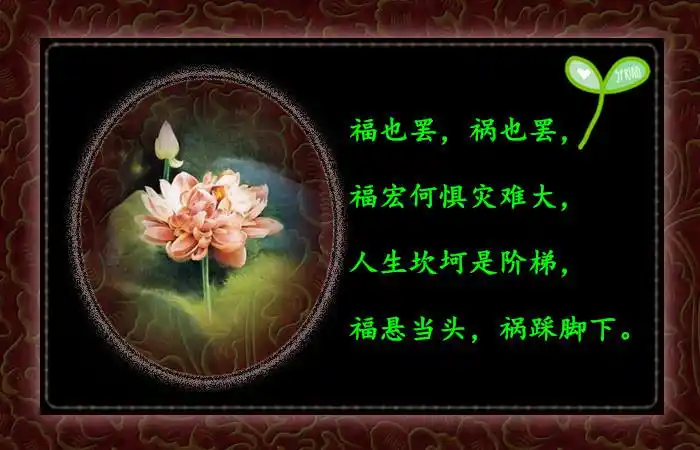 人生十二悟,字字值千金!