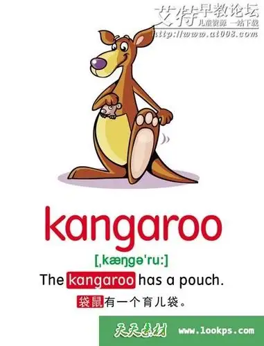 儿童英语单词卡10个分类共795个jpg图片下载高清彩页可打印百度云网盘