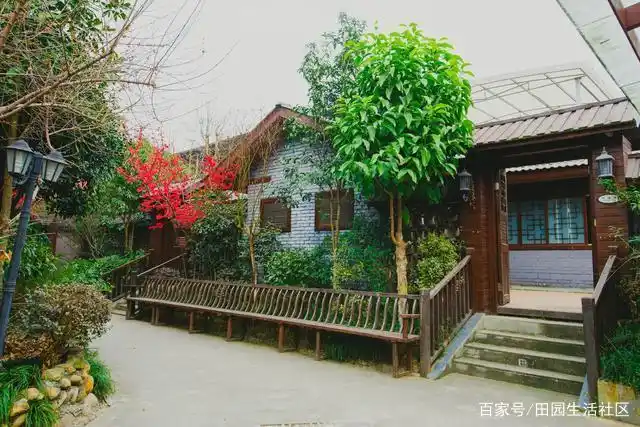 田园养老:成都的农家小院里,岂能没有孩子攀爬春天