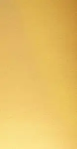 高清金色磨砂肌理纹理质感海报banner背景