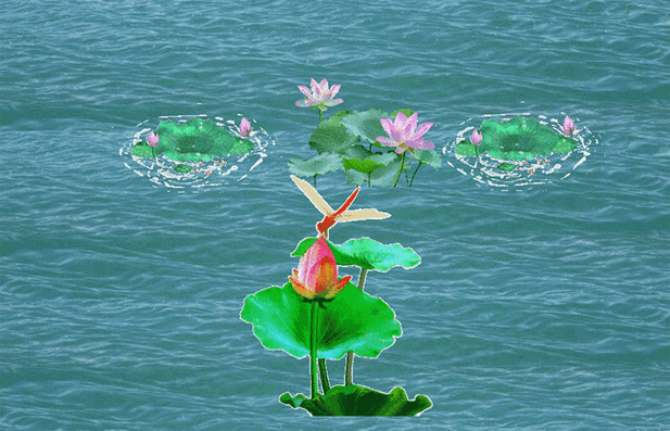 映日荷花别样红