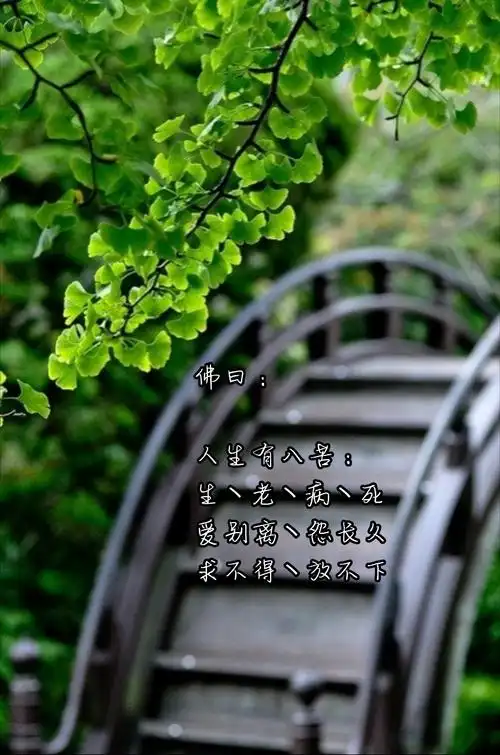 一念放下 万念皆空