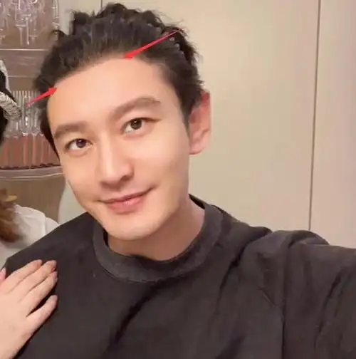 黄晓明上海豪宅内景曝光,墙壁挂自画像太过自恋,发际线像假发套 图9