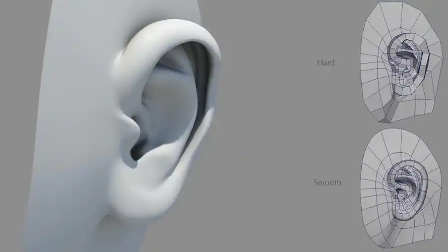 【建模】人模-耳朵