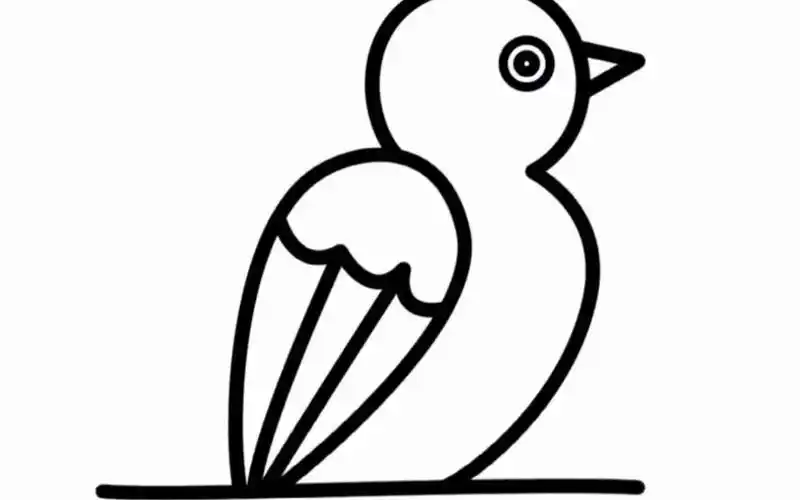 【简笔画】可爱小鸟简笔画教程