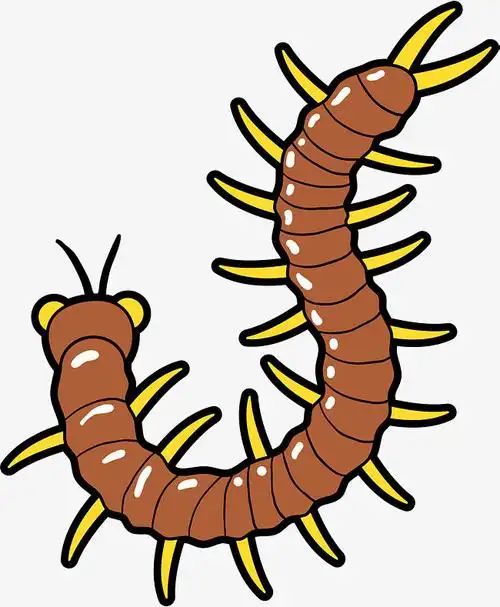昆虫卡通蜈蚣矢量图下载