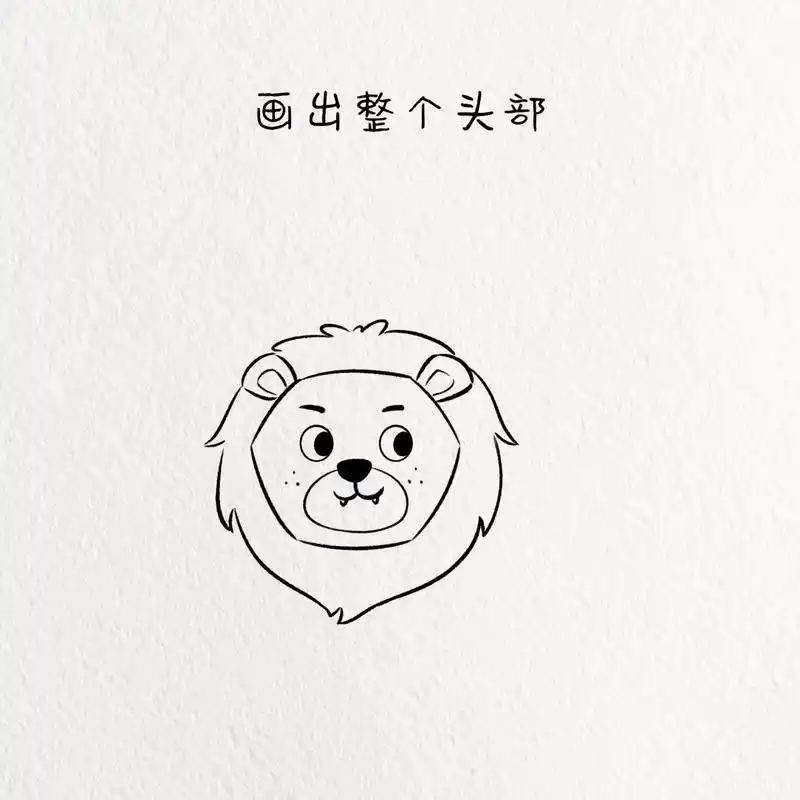 小狮子简笔画教程 动物简笔画教程