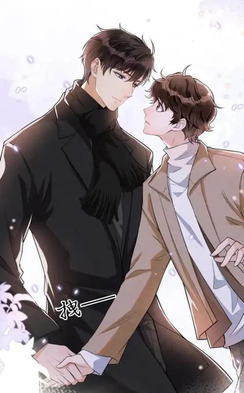 推文《择木而栖》by卡比丘:短篇破镜重圆甜文