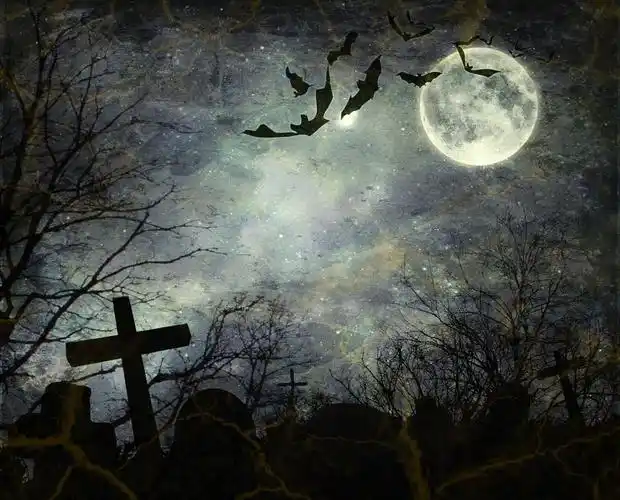 蝙蝠在夜间飞行,万圣节的背景.在背景中的满月在夜间飞行的蝙蝠.