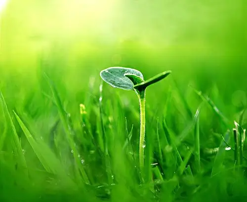 收藏                          相似 扫描到手机 分享微博微信