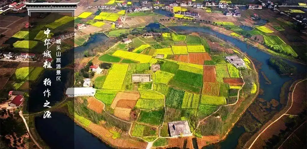 "国家名片"上的澧县城头山_旅游文化_澧县新闻网