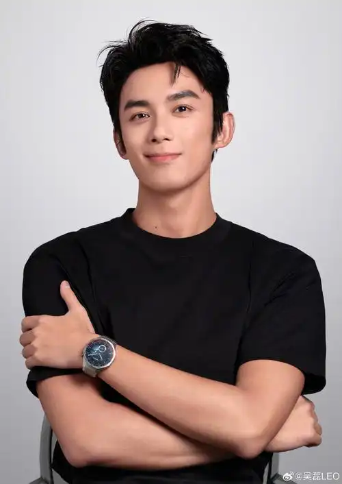 吴磊人生证件照四宫格#  没办法 这是真帅啊9499四张图硬控我半