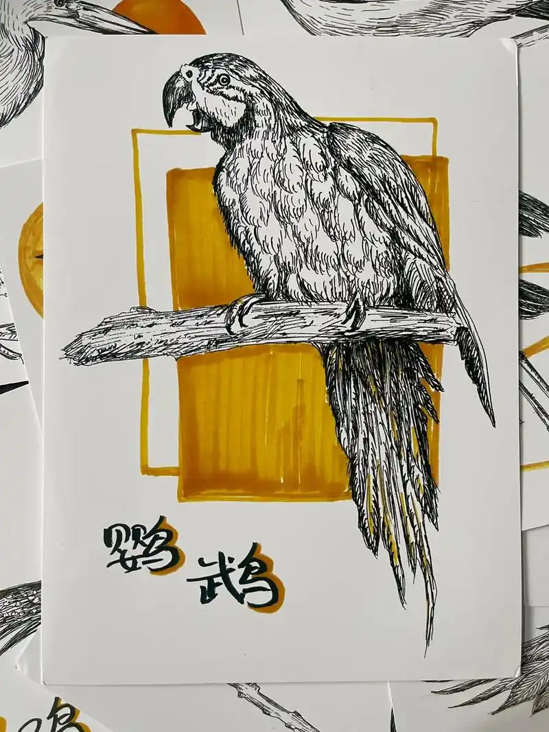 抖音图文来了 各种鸟类线描绘画,学习不同鸟类的线描画法,适 - 抖音