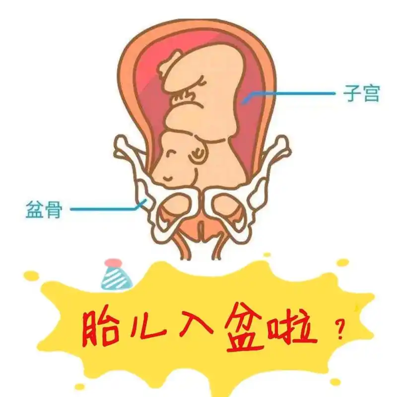 了一步,每天加大了一点运动量,爬楼梯,散步,深蹲帮助宝宝快点完全入盆
