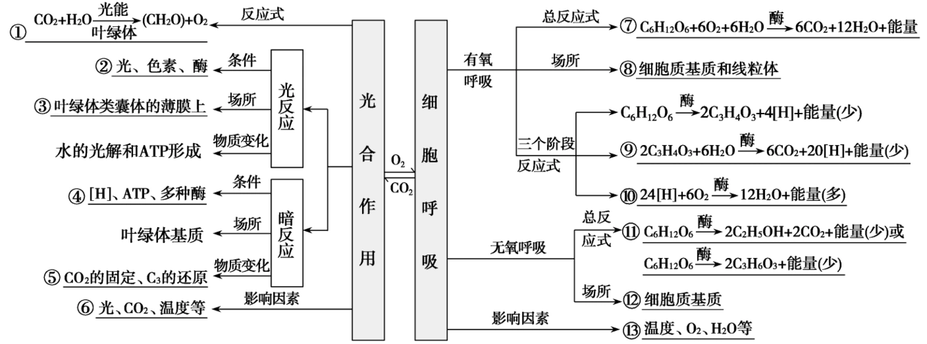 2019届高考生物二轮复习专题4光合作用和细胞呼吸学案